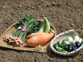 スポットの写真