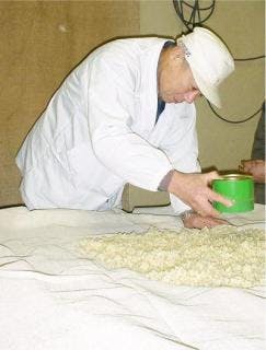 スポットの写真