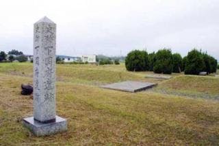 スポットの写真