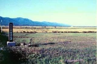 スポットの写真