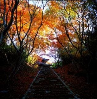 スポットの写真