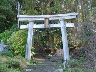 スポットの写真