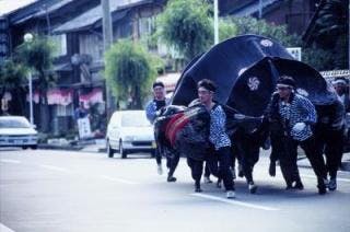 スポットの写真