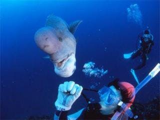 スポットの写真