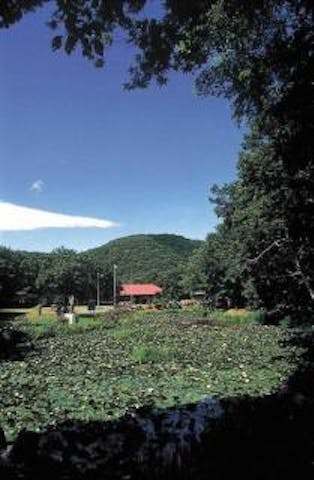 爪の沢キャンプ場