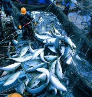 スポットの写真