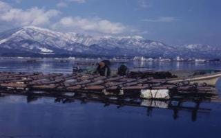 スポットの写真