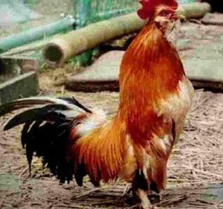 スポットの写真