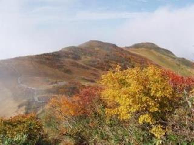 浅草岳・ムジナ沢登山口