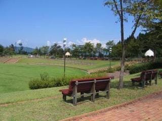 スポットの写真