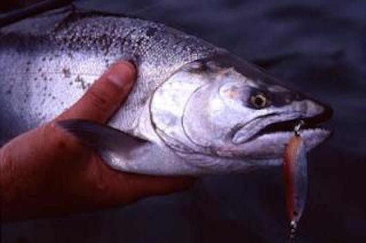奥只見湖（銀山湖）釣り解禁