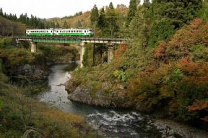 魚沼コシヒカリ紅葉マラソン大会