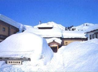 スポットの写真