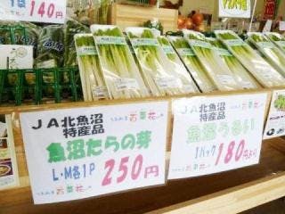あめだま様　予約分　魚沼ひ JA北魚沼農産物直売所 うおぬま百菜花ん【アソビュー！】