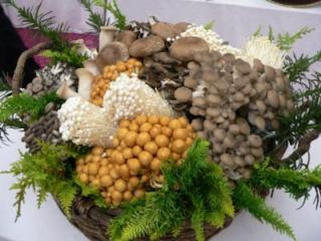 魚沼きのこ汁＆新米おにぎりまつり