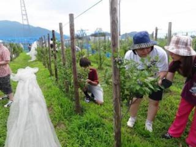 フルーツガーデン