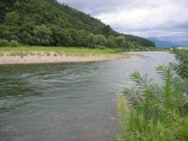 魚野川【釣り場】