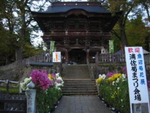 魚沼菊花展 浦佐菊まつり