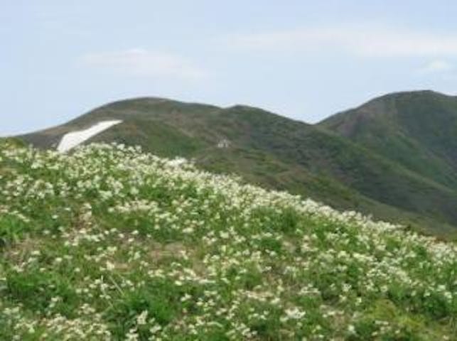 頼母木山・胎内登山口