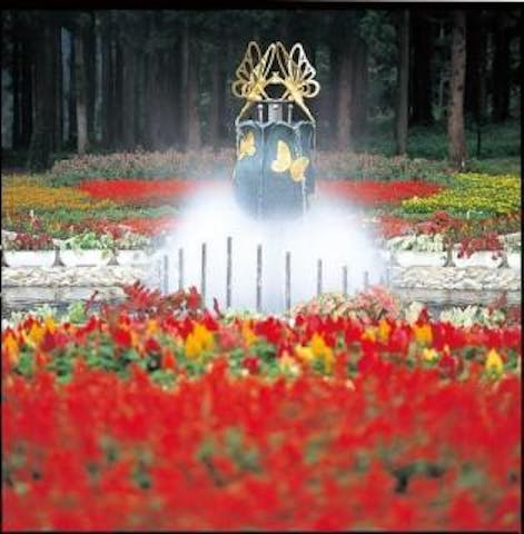 胎内フラワーパーク