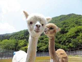 スポットの写真