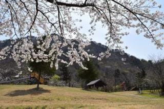 スポットの写真