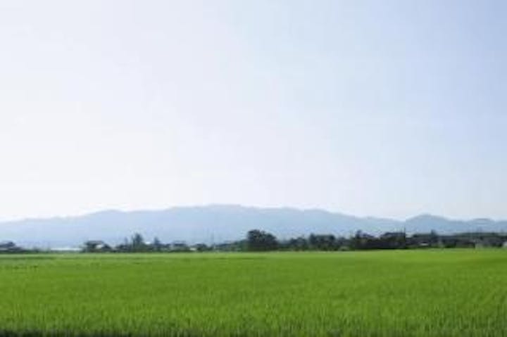 櫛形山脈・関沢登山口