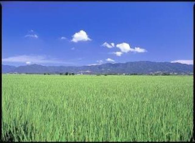 鳥坂山・羽黒登山口