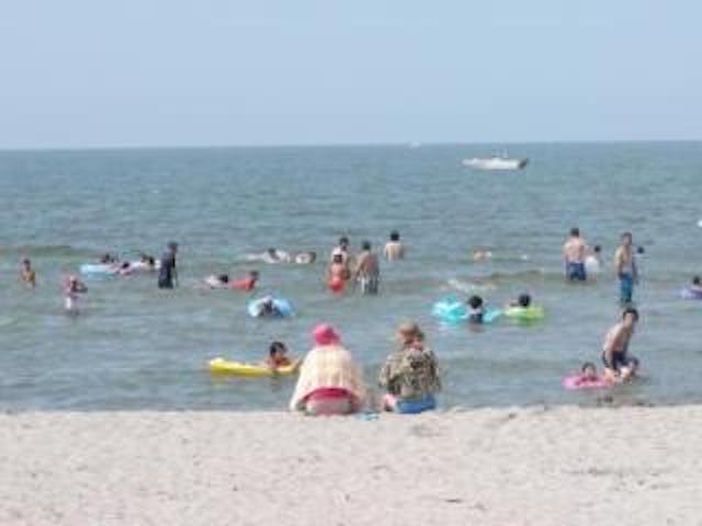 網代浜海水浴場