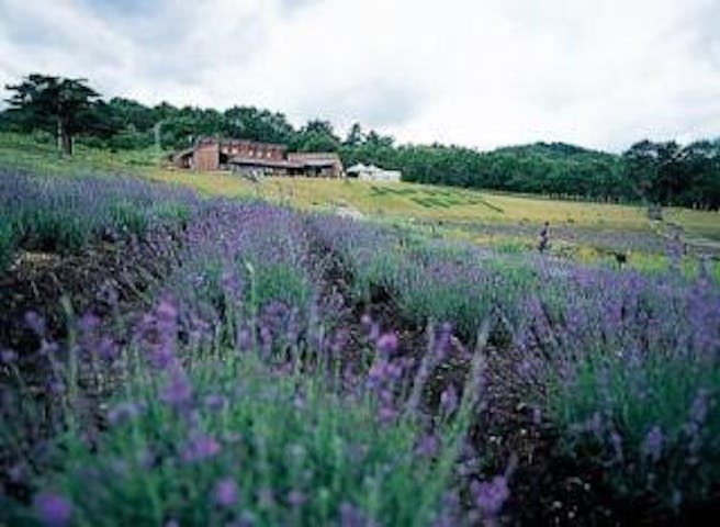 芦沢高原ハーバルパーク（ハーブ園）