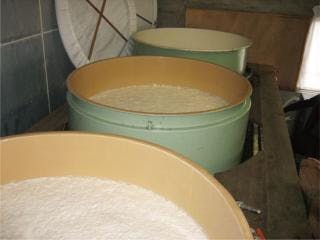 スポットの写真