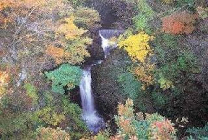 大源太キャニオン四十八滝