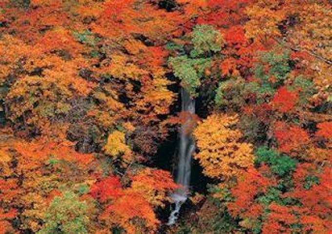 蛇淵の滝【秋山郷】