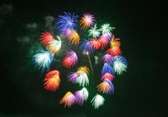 刈羽村ふるさとまつり【花火大会】