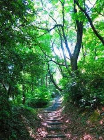 赤田城址遊歩道