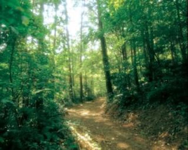 勝山城址遊歩道