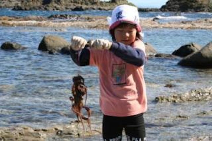 【2020年中止】磯ダコ捕りツアー