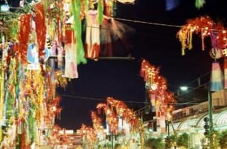 スポットの写真