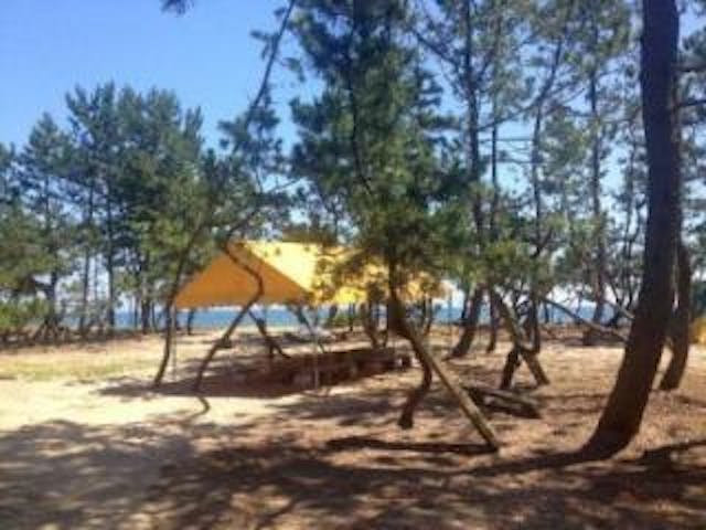 松田江キャンプ場