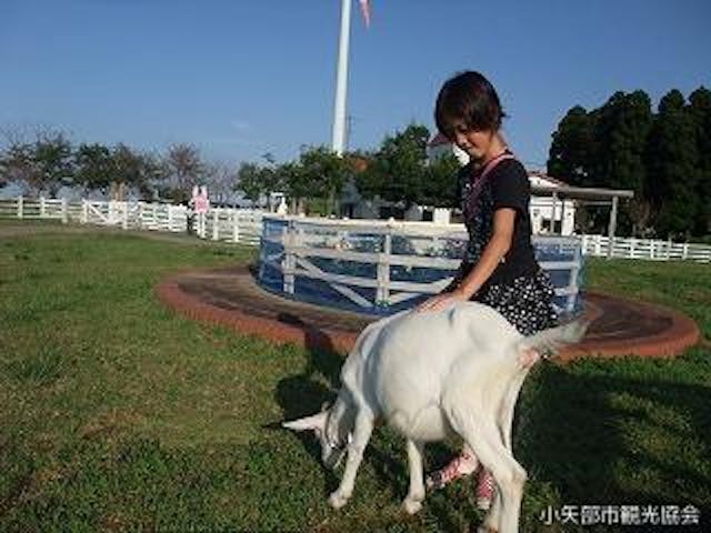 稲葉山ふれあい動物広場