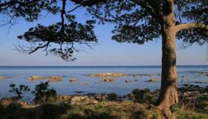 勝尾崎キャンプ場