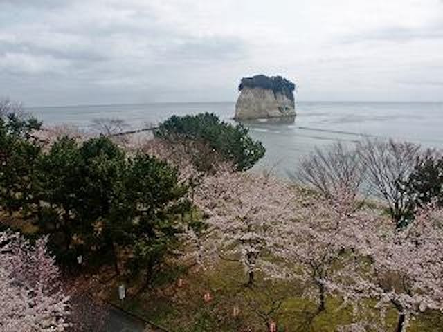 【2020年中止】見附桜まつり