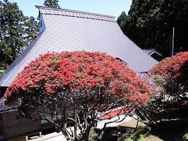 のとキリシマツツジオープンガーデン2021