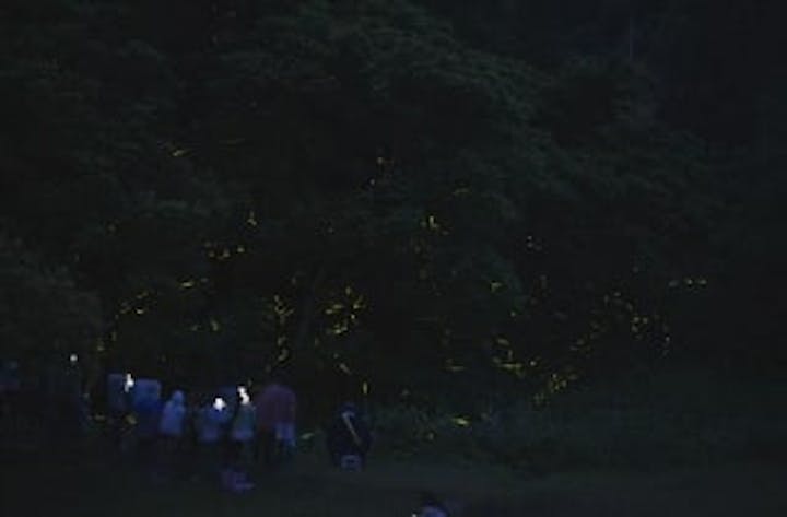 【2020年行事中止】北山ほたるの舞