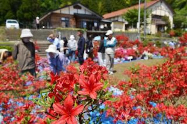 能登峨山キリシマツツジ展示即売会