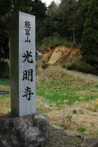 光明寺の水芭蕉