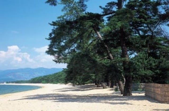 気比の松原海水浴場