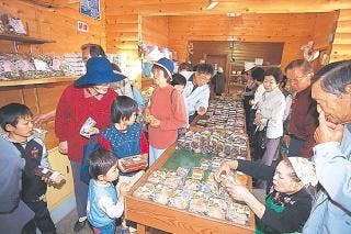 スポットの写真