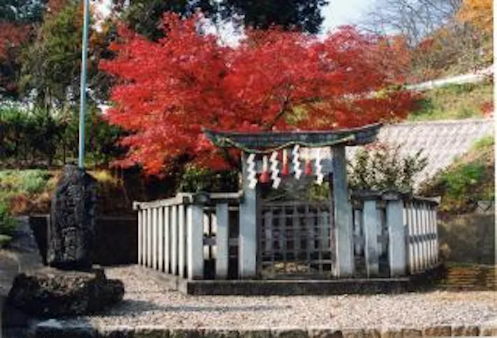 花筐公園 アソビュー