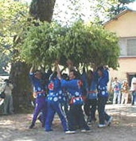 【中止】じじぐれ祭